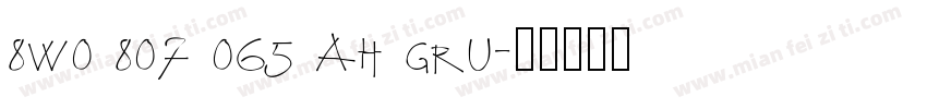 8W0 807 065 AH GRU字体转换